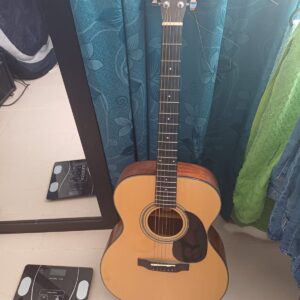 Guitarra Bristol